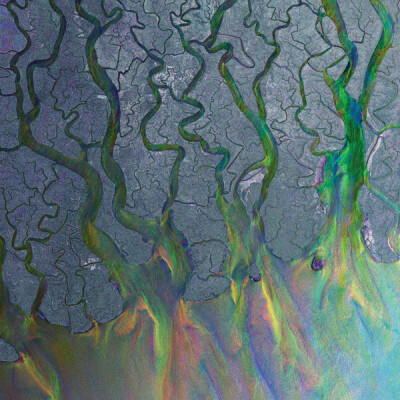 New episode of 11/29 2:58 PM cover